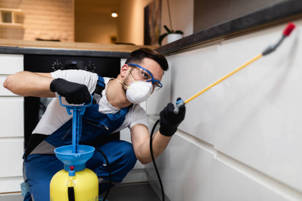 Best Affordable Pest Control Services  in Hamilton, IN