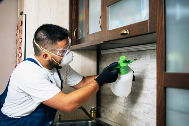 Trusted Hamilton, IN Pest Control Experts