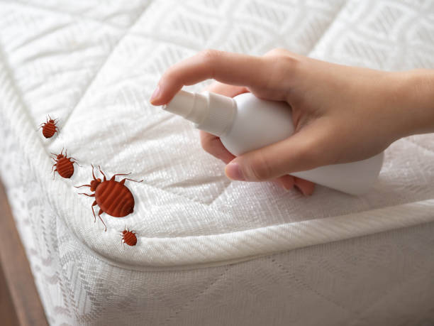 Best Best Pest Control Near Me  in Hamilton, IN