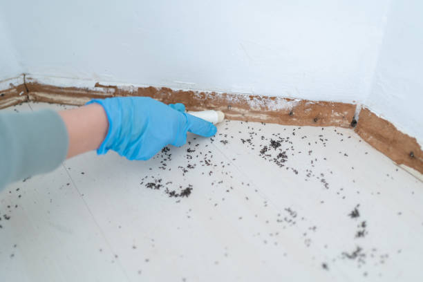 Best Commercial Pest Control Services  in Hamilton, IN
